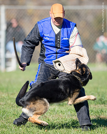 Ken Stuedle & Arko