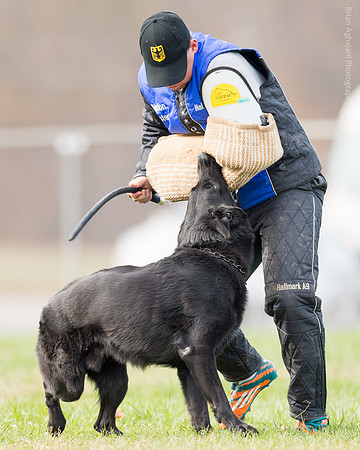 20151115_19486_USCA.Nationals.jpg