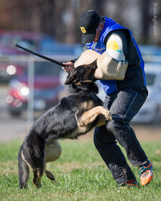 20151114_#10374_USCA.Nationals