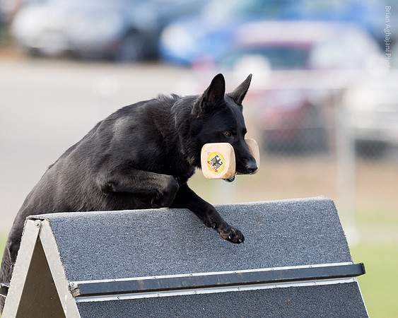 20151115_18100_USCA.Nationals.jpg