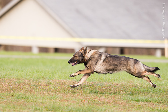20151115_16516_USCA.Nationals.jpg
