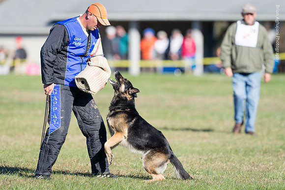 Ken Stuedle & Arko