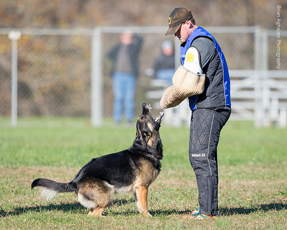 Ken Stuedle & Arko