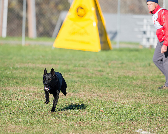 20151114_9474_USCA.Nationals.jpg
