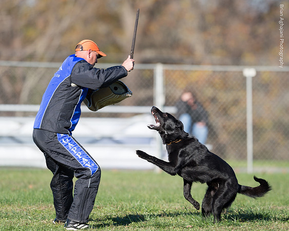 20151114_9670_USCA.Nationals.jpg