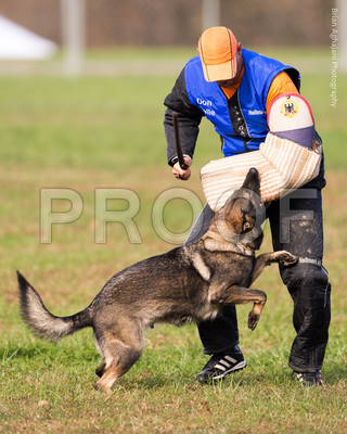 20151115_17746_USCA.Nationals.jpg