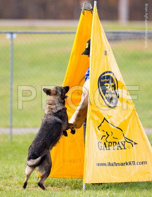 20151115_17664_USCA.Nationals.jpg
