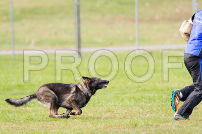 20151115_17671_USCA.Nationals.jpg