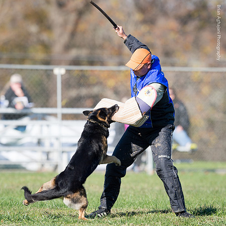 Ken Stuedle & Arko