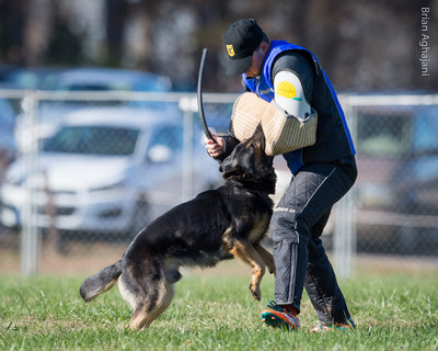 20151114_#10362_USCA.Nationals