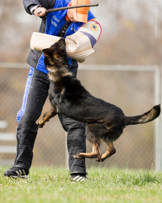 20151115_19832_USCA.Nationals.jpg