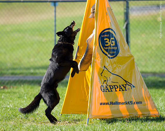 20151114_9498_USCA.Nationals.jpg