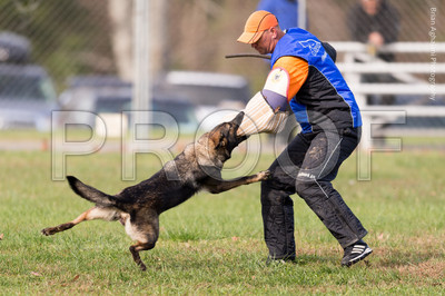 20151115_17732_USCA.Nationals.jpg