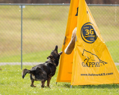 20151115_19752_USCA.Nationals.jpg