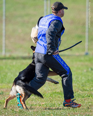 Ken Stuedle & Arko