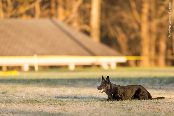 20151114_8113_USCA.Nationals.jpg