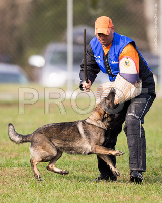 20151115_17738_USCA.Nationals.jpg