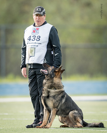 Kliff wall DSC_8885.jpg