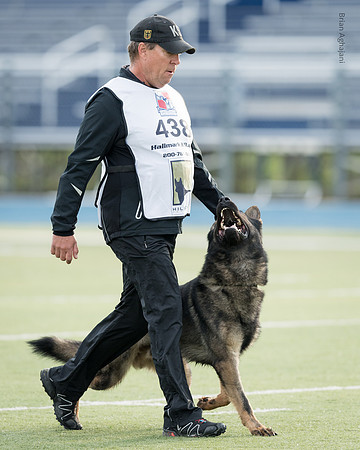 Kliff wall DSC_8836.jpg