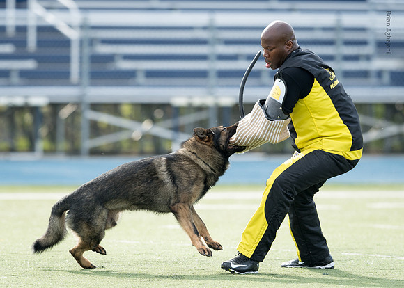 Kliff wall DSC_0134.jpg
