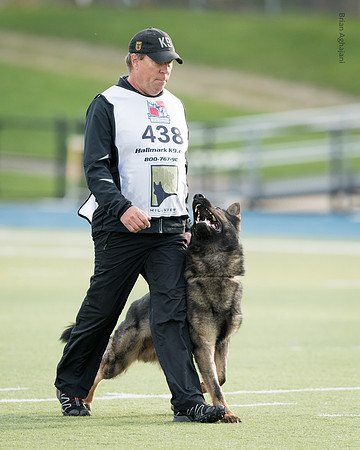 Kliff wall DSC_8822.jpg