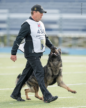 Kliff wall DSC_8840.jpg
