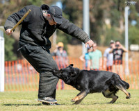 Brad Hardin & Lanzo van Arne's Hoeve, 2nd Place Level 1