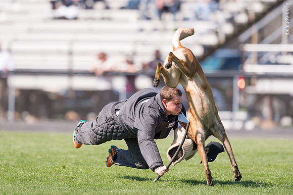 Benny Barmapov's Insane with Weston Kester during Courage Test at 2016 AWDF
