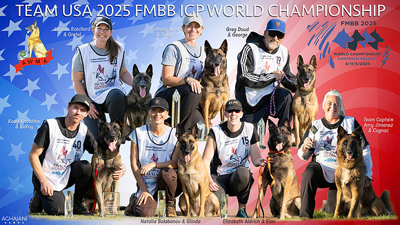 2025 Team USA FMBB World Championship Banner
