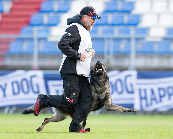 USA #03 Frank Phillips and Kliff v. Haus Floyd at the 2017 WUSV World Championship in Tilburg, NL.