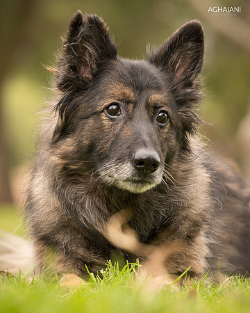 11 yr old "Joli" photo shoot for Kellie Connell in Escondido, CA