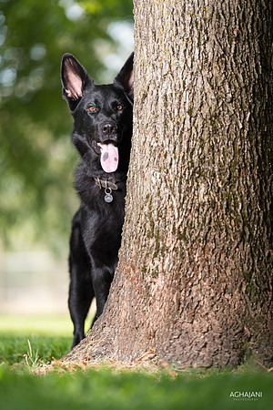 "Sasha" photo shoot for Heather Davidson in Lilncoln, CA