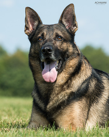 "Kybo" photo shoot for Karen Pellegrino in Merrimack, NH