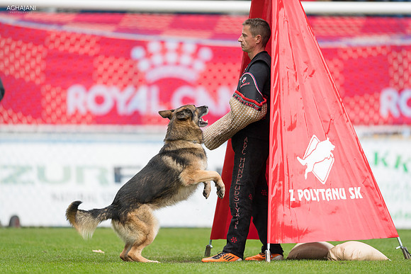 20171006.153_1205_ AGHAJANI
