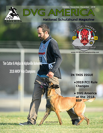 DVGA Q4 2018 cover image from AWDF Nationals by Brian Aghajani