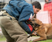 David Broderick & Idole du Loups du Soleil, 3rd Place Lvl 3