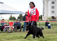 #105_20190428-153_7356
