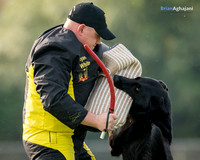 2016 Nationals #BA26301