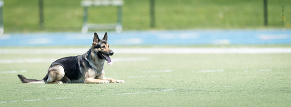 DSC_5771.jpg
