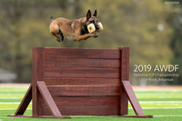 Photographer's Favorites from the 2019 AWDF IGP National Championship