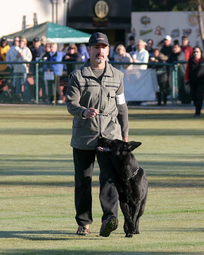 Bella 2005 GSD Nationals.2005110420051104.#7 ob 006_.bella